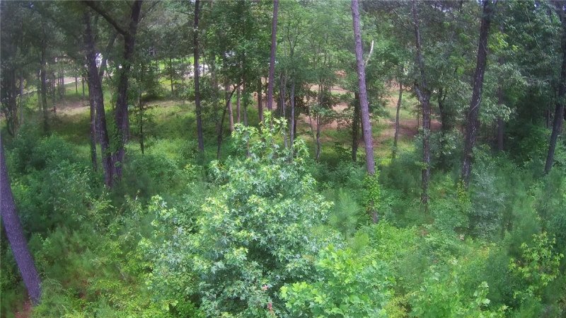 Property image 4 at Lot 32 Little Bay Lane, Seneca, SC 29672