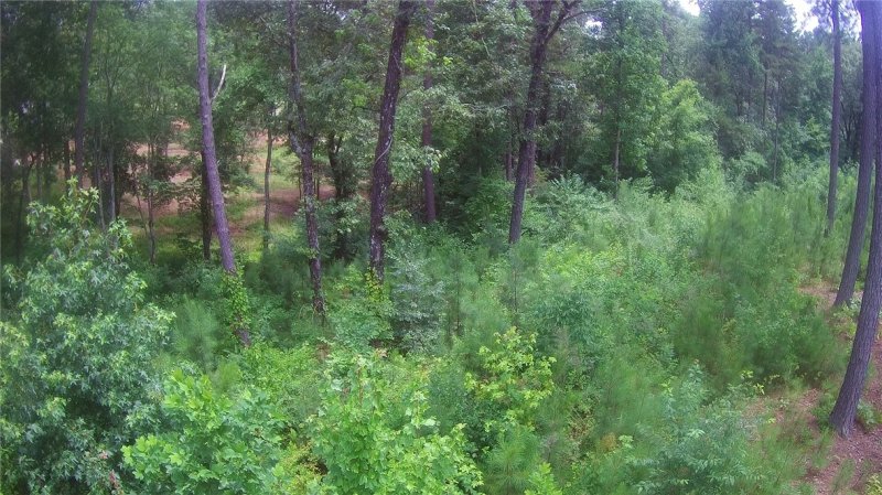 Property image 5 at Lot 32 Little Bay Lane, Seneca, SC 29672