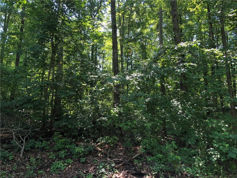 Property image 3 at 00 Chilhowee Drive, Westminster, SC 29693