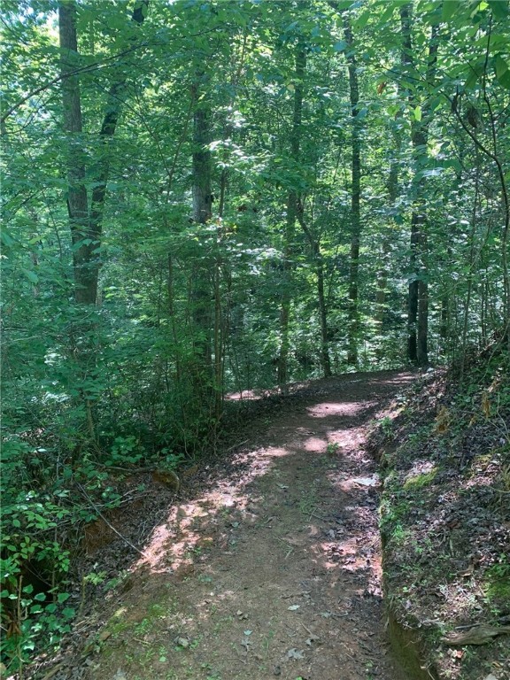 Property image 2 at 403 Soaring Eagle Way, Salem, SC 29676