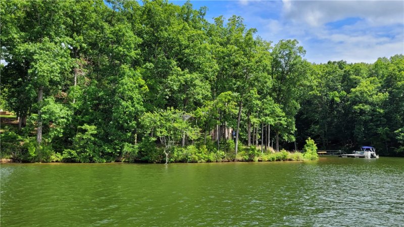 Property image 2 at 134 Clearview Drive, Abbeville, SC 29620