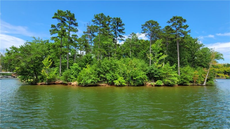 Property image 4 at Lot 12 Creekpoint Drive, Abbeville, SC 29620