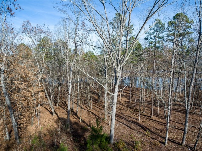 Property image 4 at 430 Terrapin Pointe Road, Hodges, SC 29653