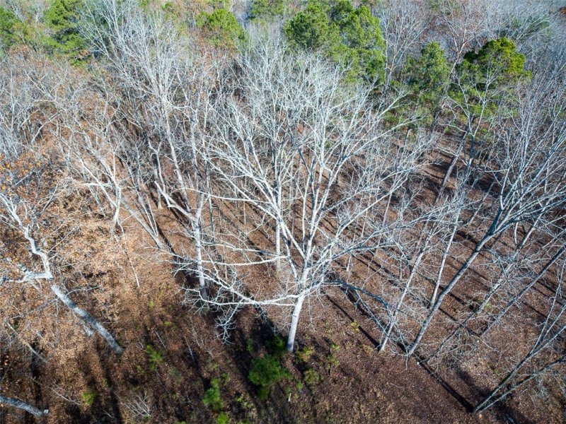 Property image 5 at 430 Terrapin Pointe Road, Hodges, SC 29653