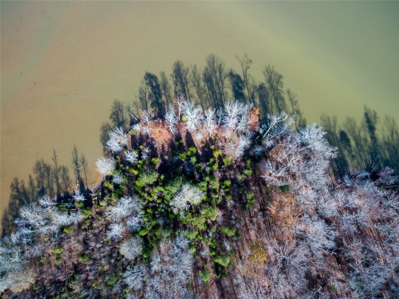 Property image 3 at 331 Terrapin Pointe Road, Hodges, SC 29653