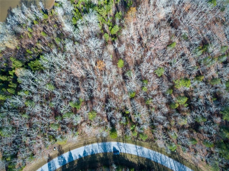 Property image 4 at 331 Terrapin Pointe Road, Hodges, SC 29653