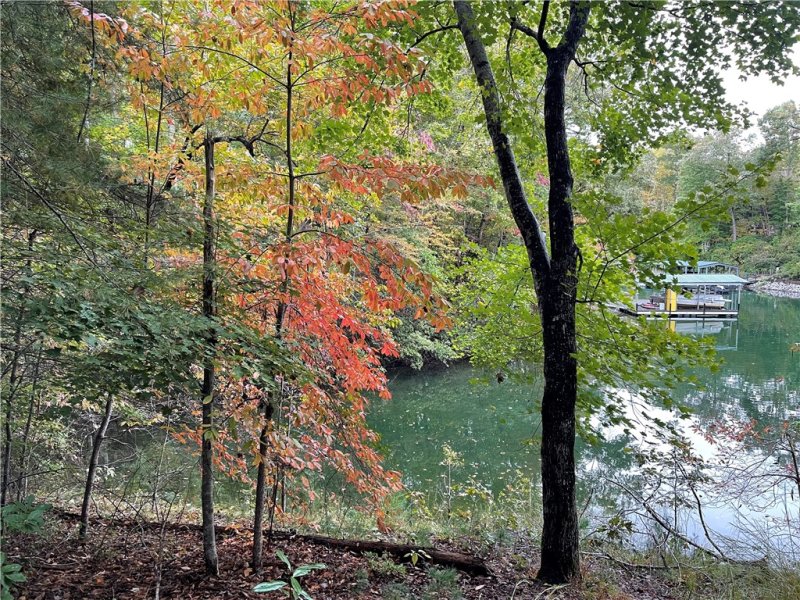 Property image 3 at 601 Wind Flower Drive, Sunset, SC 29685