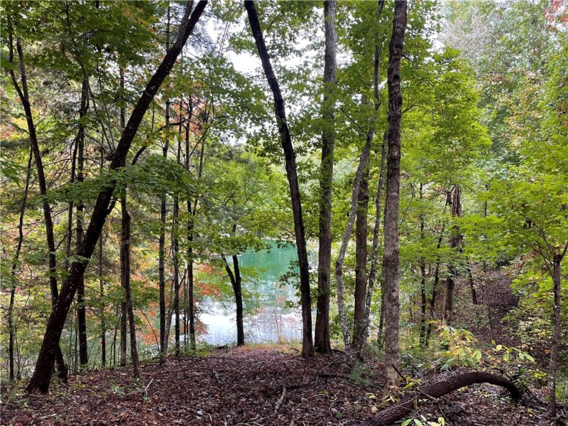 Property image 4 at 601 Wind Flower Drive, Sunset, SC 29685