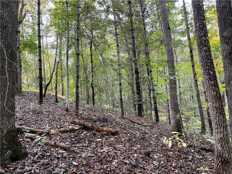 Property image 5 at 601 Wind Flower Drive, Sunset, SC 29685