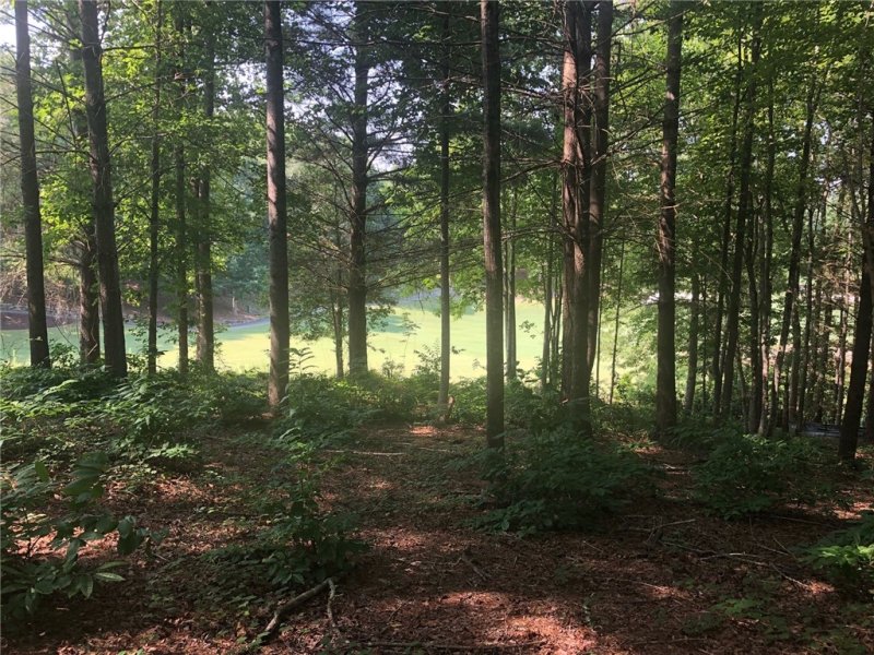 Property image 2 at 209 Feather Bells Lane, Sunset, SC 29685