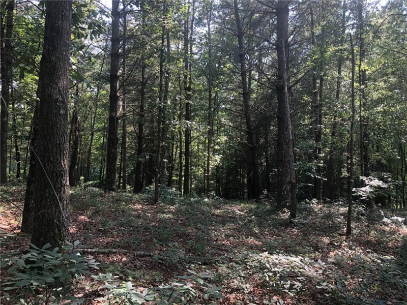 Property image 3 at 209 Feather Bells Lane, Sunset, SC 29685