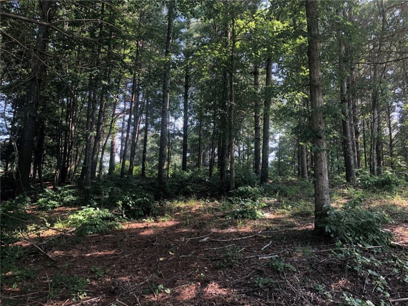 Property image 4 at 209 Feather Bells Lane, Sunset, SC 29685