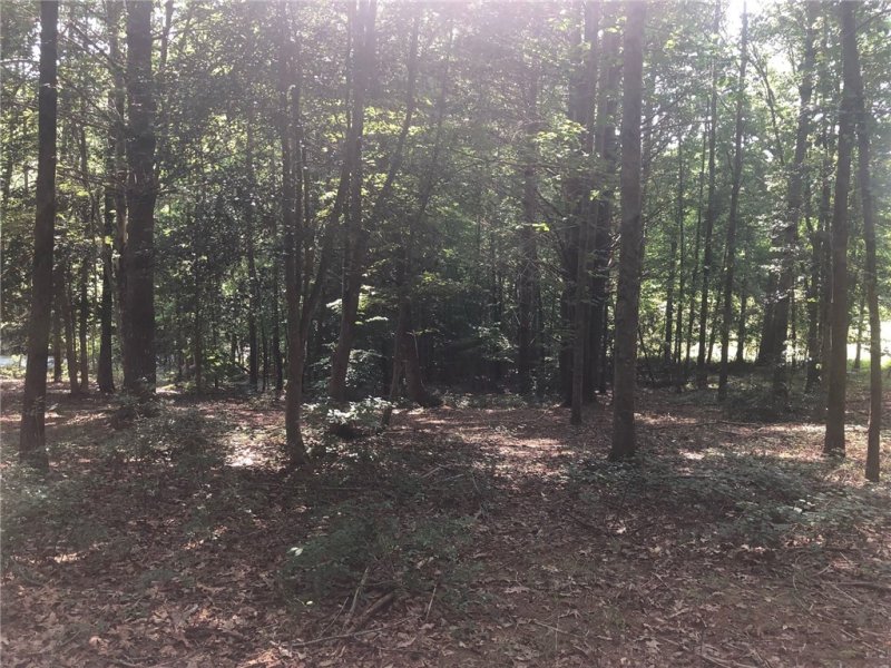 Property image 2 at 201 Feather Bells Lane, Sunset, SC 29685