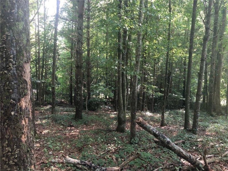 Property image 3 at 201 Feather Bells Lane, Sunset, SC 29685