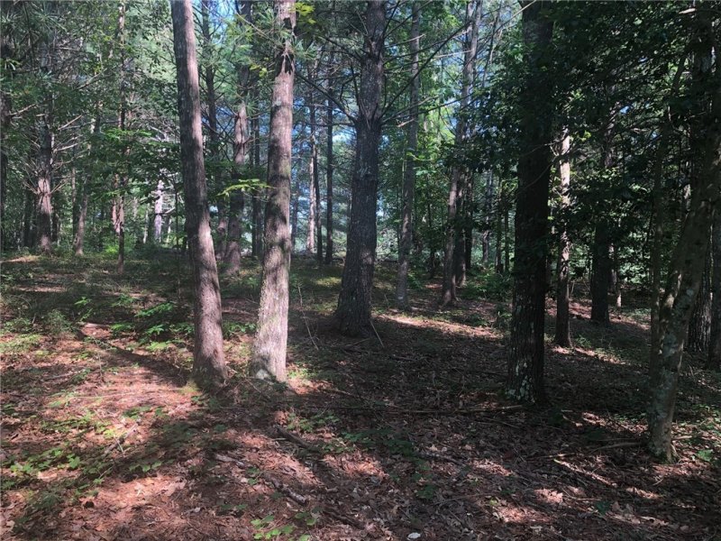 Property image 4 at 201 Feather Bells Lane, Sunset, SC 29685