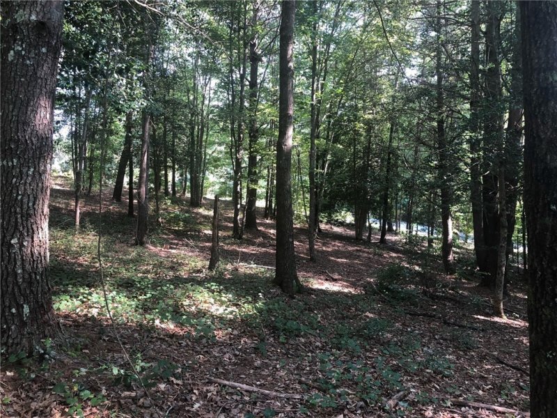 Property image 5 at 201 Feather Bells Lane, Sunset, SC 29685