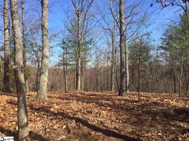 Property image 2 at 109 Eagle Rock Road, Landrum, SC 29356