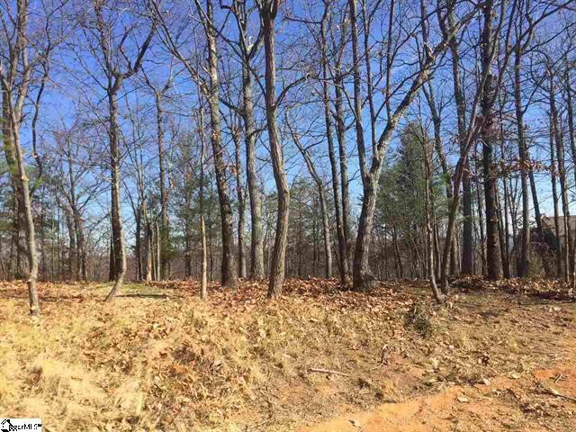 Property image 3 at 109 Eagle Rock Road, Landrum, SC 29356