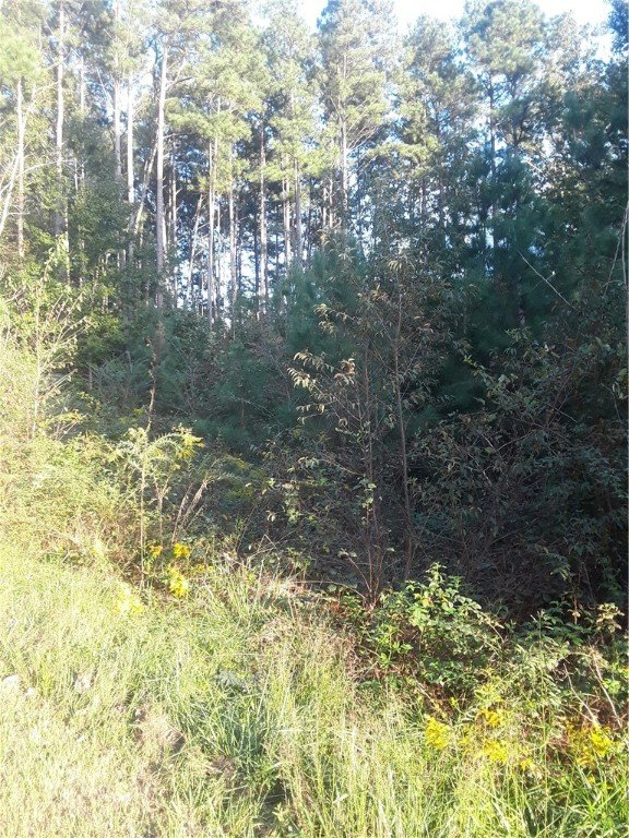 Property image 2 at 00 High Meadow Drive, Westminster, SC 29693