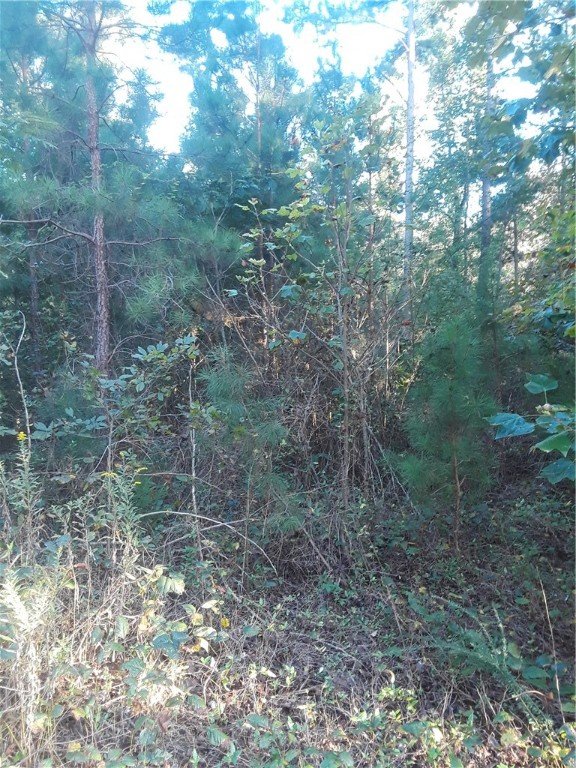 Property image 3 at 00 High Meadow Drive, Westminster, SC 29693