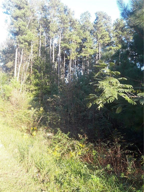 Property image 4 at 00 High Meadow Drive, Westminster, SC 29693