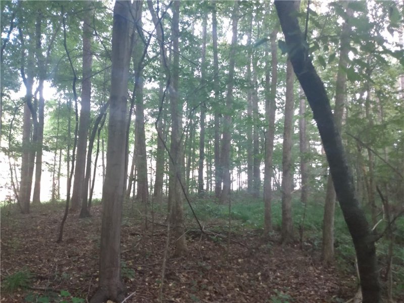 Property image 3 at Lot 45 Debbie Lane, Fair Play, SC 29643