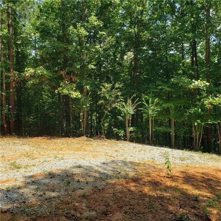 Property image 3 at 407 Nest Pine Court, Seneca, SC 29672