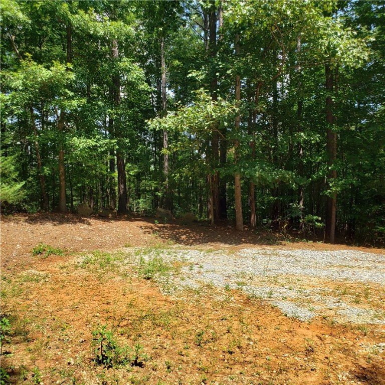 Property image 5 at 407 Nest Pine Court, Seneca, SC 29672