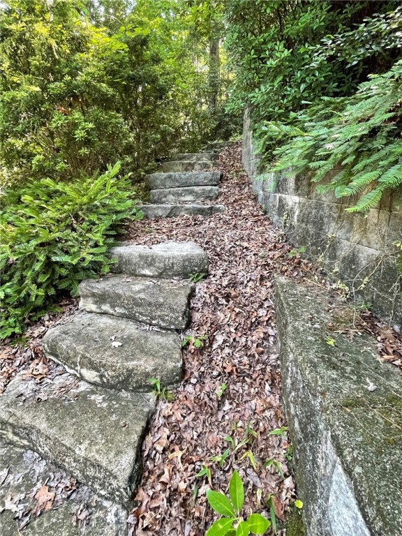 Property image 5 at 100 Passion Flower Way, Sunset, SC 29685