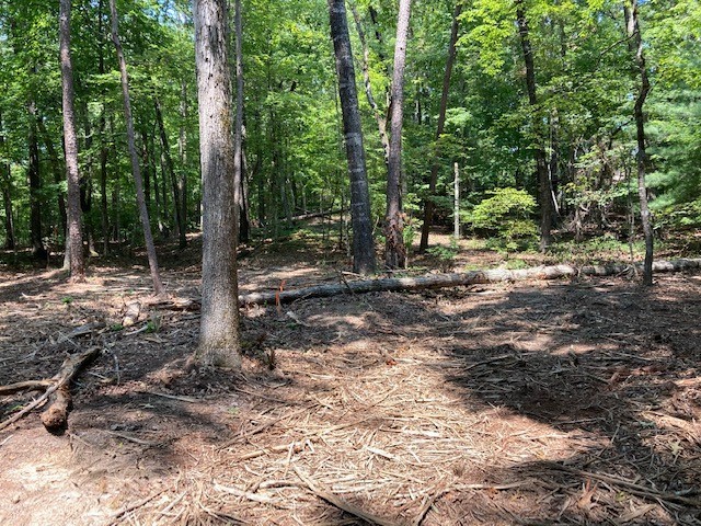 Property image 3 at LOT 127 Keowee Bay Circle, Salem, SC 29676