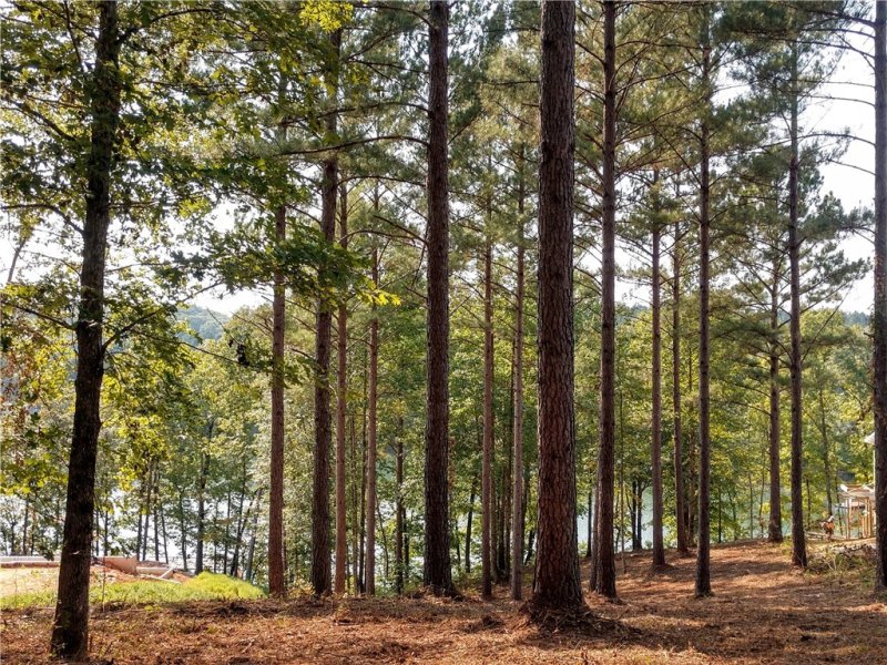 Property image 2 at Lot 26 Mountain Vista Drive, Salem, SC 29676