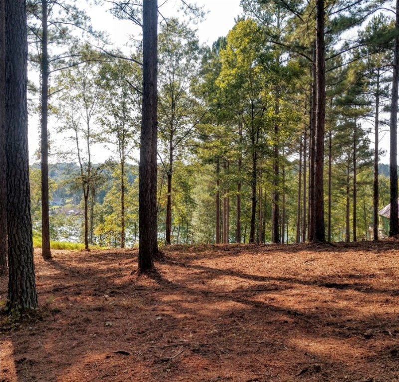 Property image 3 at Lot 26 Mountain Vista Drive, Salem, SC 29676