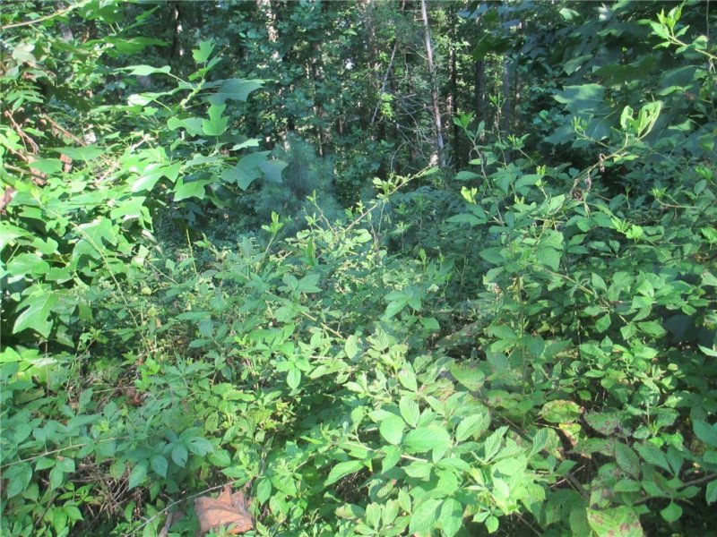 Property image 3 at Lot 54 Clear Sail Way, West Union, SC 29696