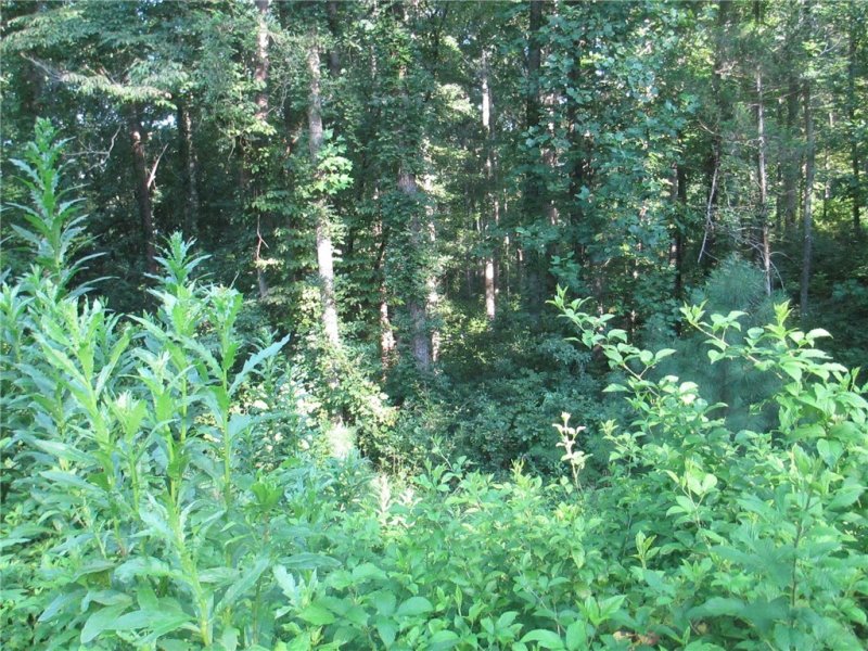 Property image 4 at Lot 54 Clear Sail Way, West Union, SC 29696