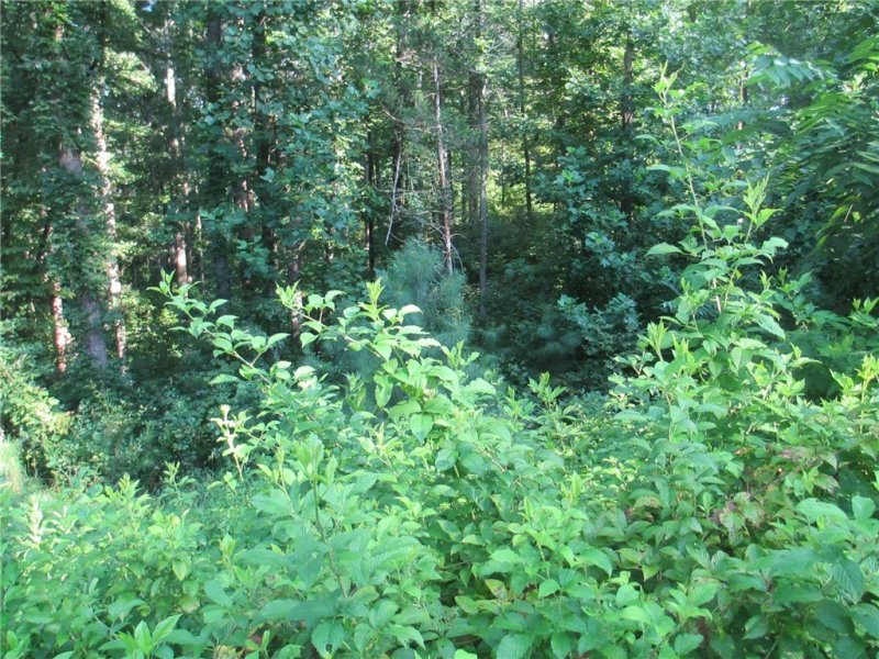 Property image 5 at Lot 54 Clear Sail Way, West Union, SC 29696