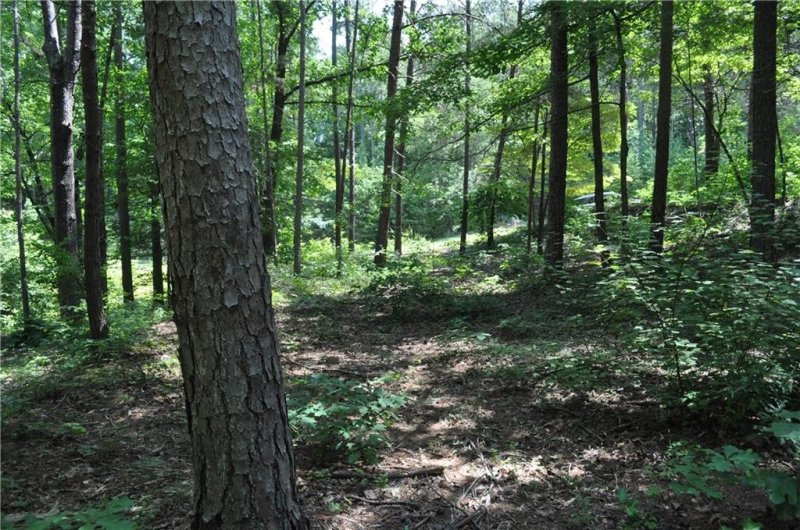 Property image 2 at Lot #50 Four Views Court, Seneca, SC 29672
