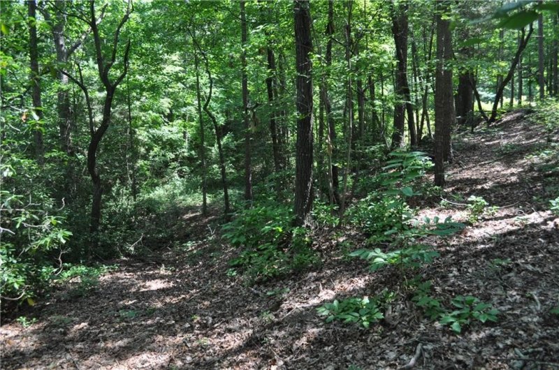 Property image 3 at Lot #50 Four Views Court, Seneca, SC 29672