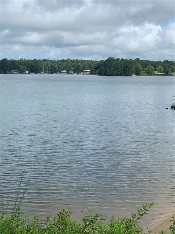 Property image 3 at 0 Waterside Point, Abbeville, SC 29620