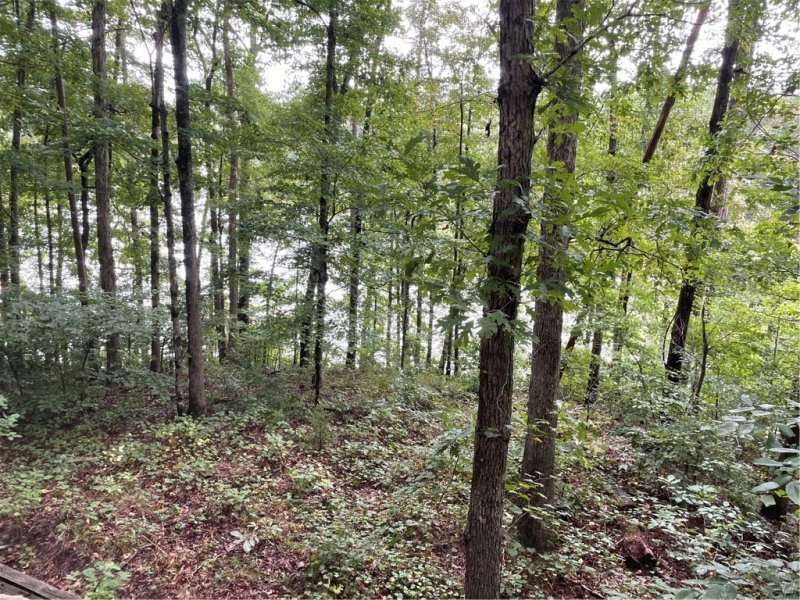 Property image 5 at 469 Shelor Ferry Road, Fair Play, SC 29643