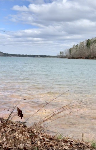 Property image 2 at 122 Wynward Pointe Drive, Salem, SC 29676