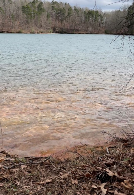 Property image 4 at 122 Wynward Pointe Drive, Salem, SC 29676