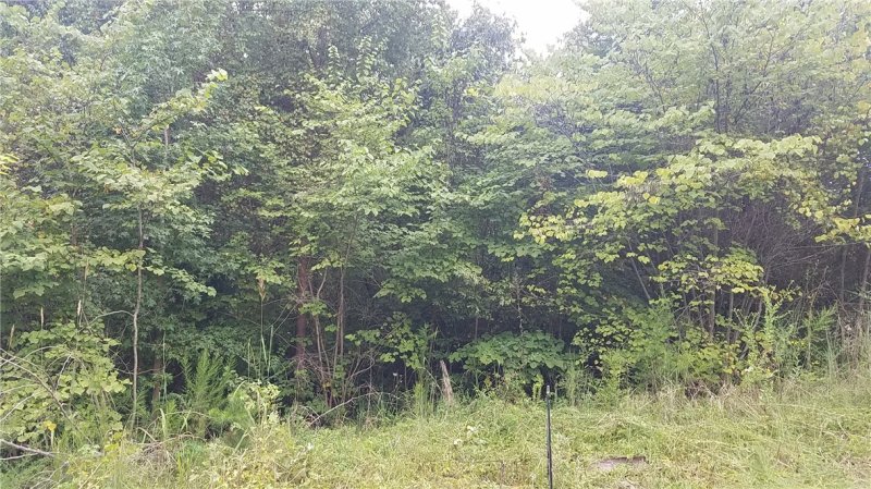 Property image 5 at 66 (lot #) Cherokee Drive, Fair Play, SC 29643