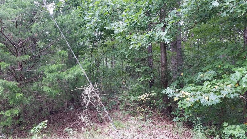 Property image 4 at 26(Lot#) Bay Drive, Fair Play, SC 29643