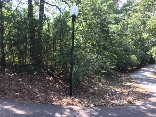 Property image 3 at Lot 20 Summersweet Lane, Seneca, SC 29672