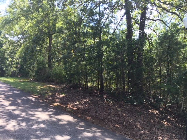 Property image 4 at Lot 20 Summersweet Lane, Seneca, SC 29672