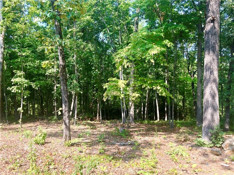 Property image 5 at 9 Harbour View Drive, Salem, SC 29676