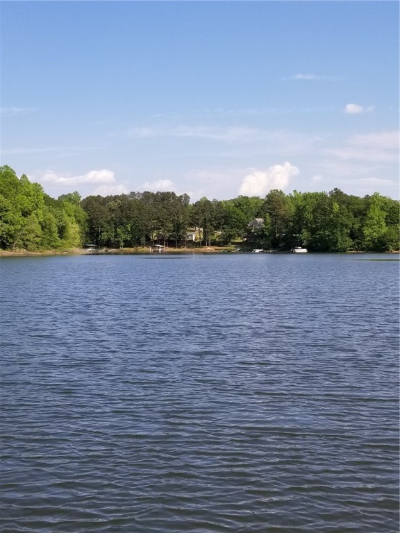 Property image 5 at 121 Moonlight Drive, Fair Play, SC 29643