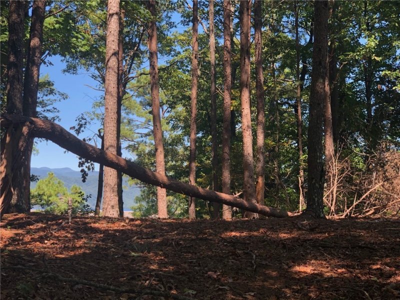 Property image 2 at 202 Buttercup Way, Sunset, SC 29685