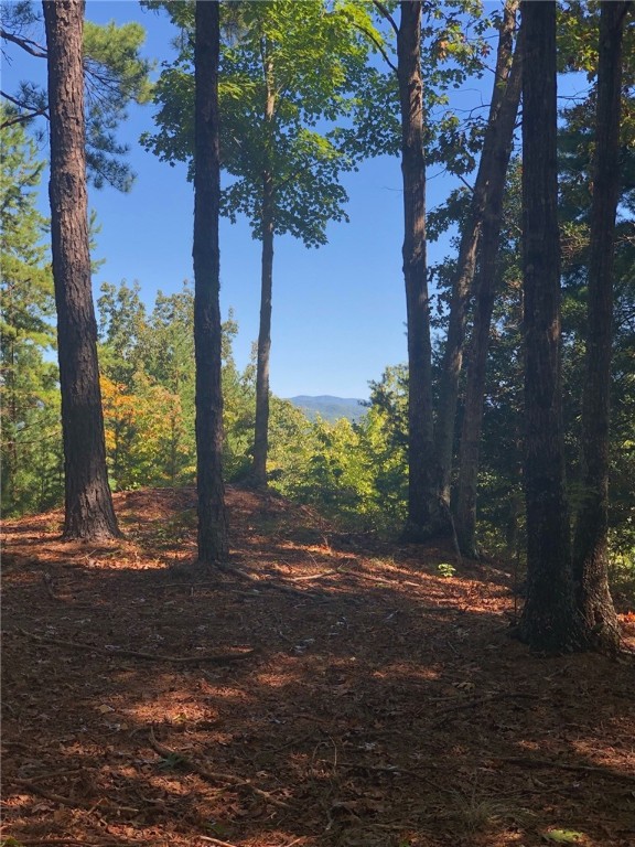 Property image 3 at 202 Buttercup Way, Sunset, SC 29685