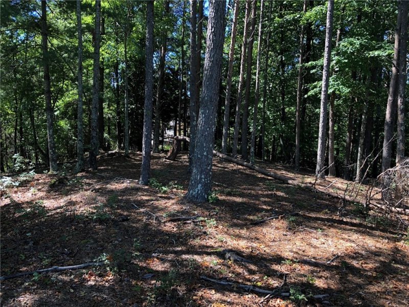 Property image 5 at 202 Buttercup Way, Sunset, SC 29685